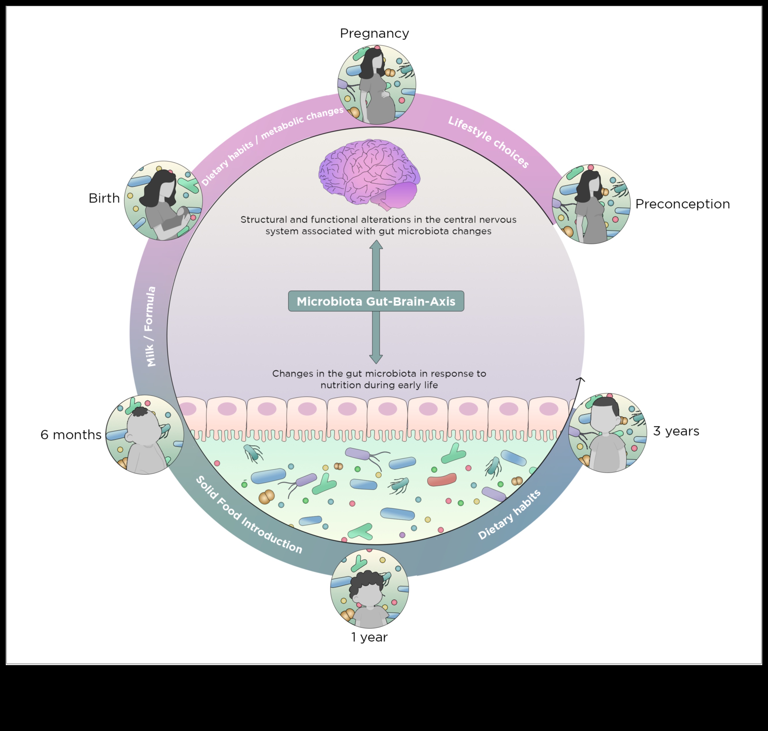 Το θρεπτικό παζλ που ξεμπερδεύει τις πολυπλοκότητες της ανεπάρκειας 3 The Nutrient Puzzle: Αποκαλύπτοντας τις πολυπλοκότητες της ανεπάρκειας