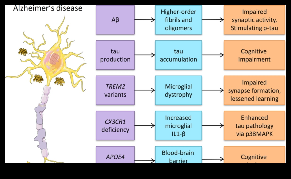 Το θρεπτικό παζλ που ξεμπερδεύει τις πολυπλοκότητες της ανεπάρκειας 4 The Nutrient Puzzle: Αποκαλύπτοντας τις πολυπλοκότητες της ανεπάρκειας