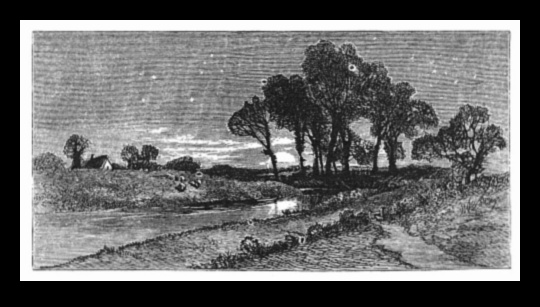 Moonlit Meadows: Ethereal Landscapes under Night Skies