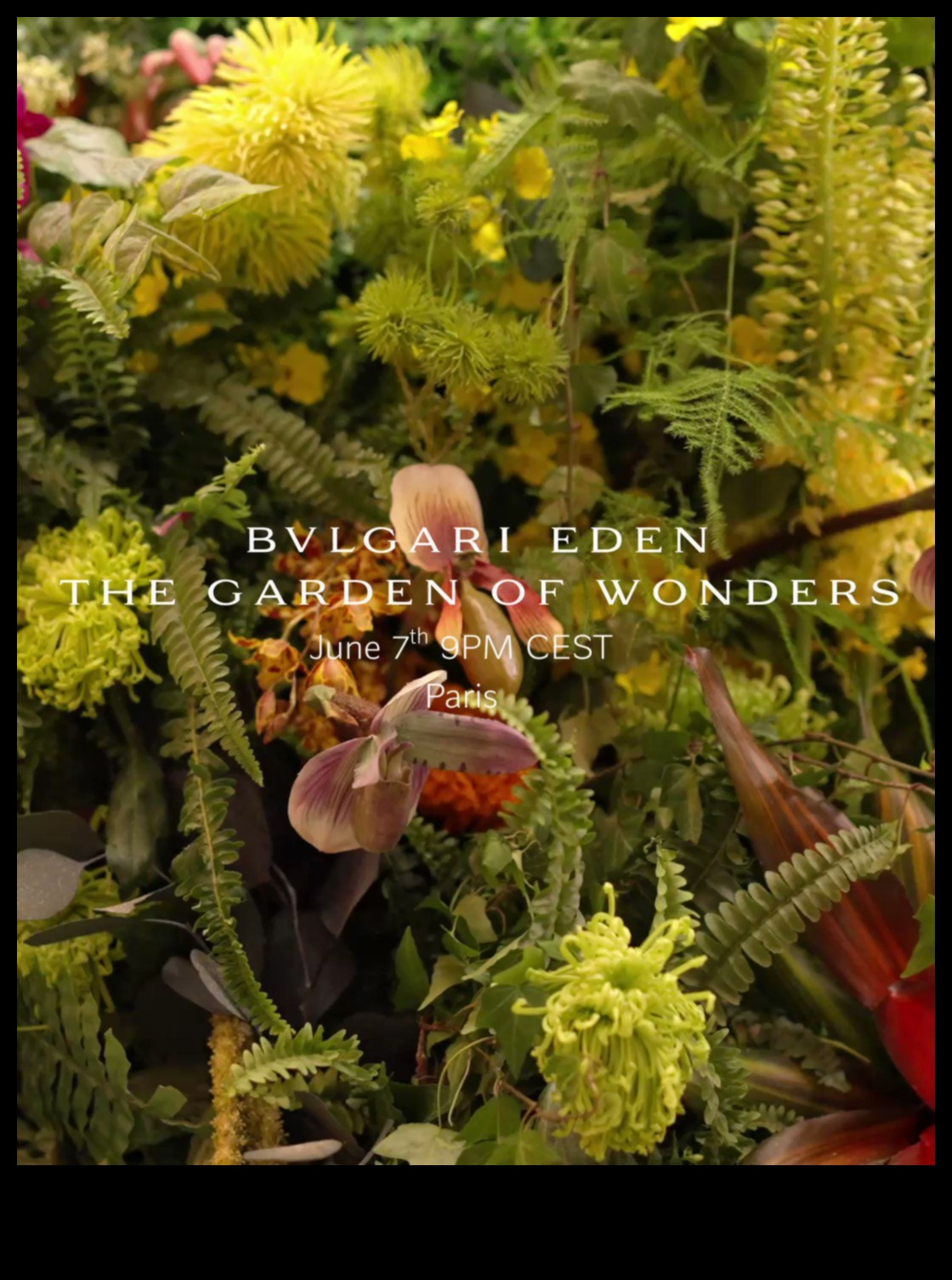 Βοτανική Ομορφιά: Κήποι γεμάτοι εξωτικά φυτά