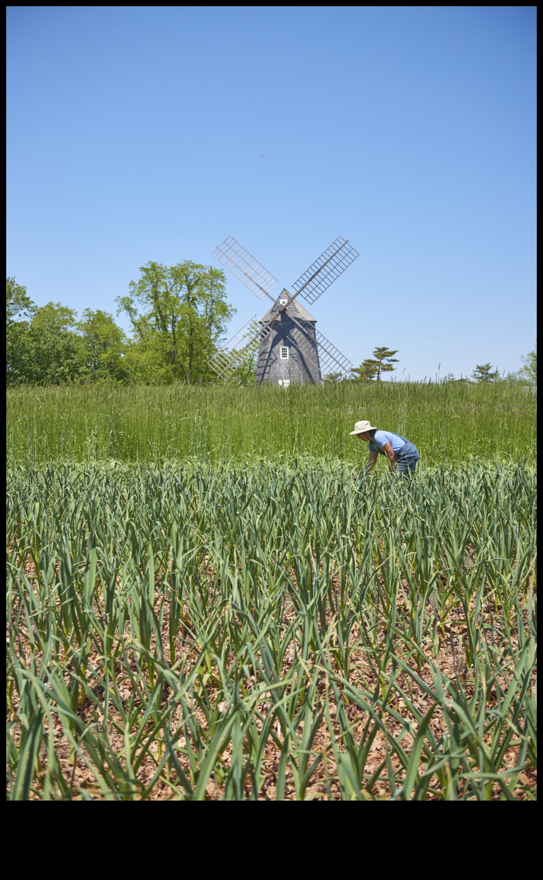A Land of Plenty The Bounty of Farmland and Crops 5 Fields of Plenty: The Bounty of Farmland and Crop Fields