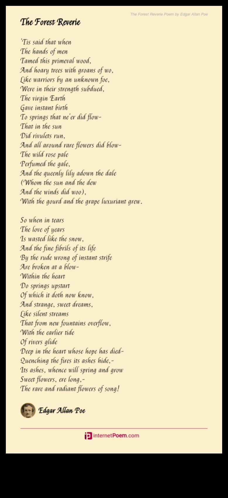 River Reverie: Exploring the Poetry of Streams and Creeks in Landscapes