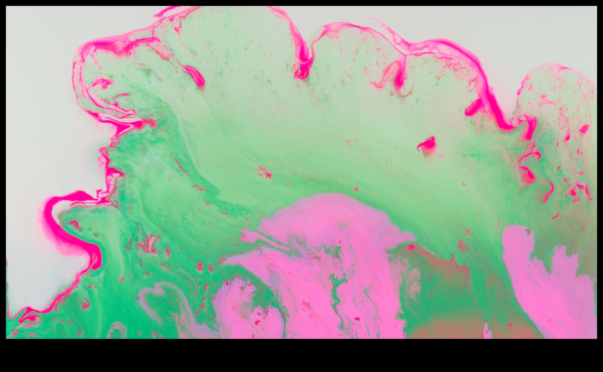 Brush and Beyond: Exploring the Boundaries of Illustrative Art