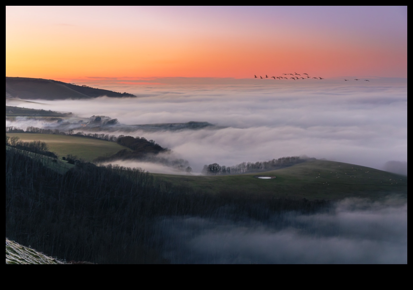 Εξερευνήστε τη γοητεία των καρποφόρων τοπίων 2 Orchards in Bloom: Exploring the Charm of Fruitful Landscapes