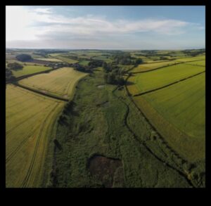 Fields of Plenty: The Bounty of Farmland and Crop Fields