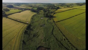Fields of Plenty: The Bounty of Farmland and Crop Fields