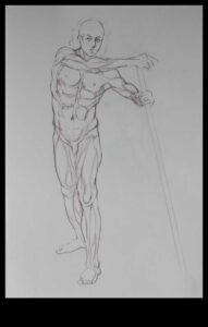 Anatomy Insights: Understanding Muscles in Life Drawing