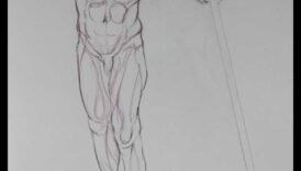 Anatomy Insights: Understanding Muscles in Life Drawing