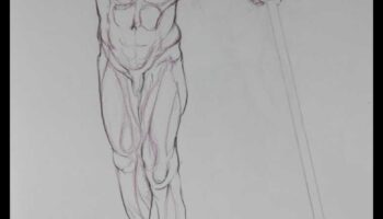 Anatomy Insights: Understanding Muscles in Life Drawing