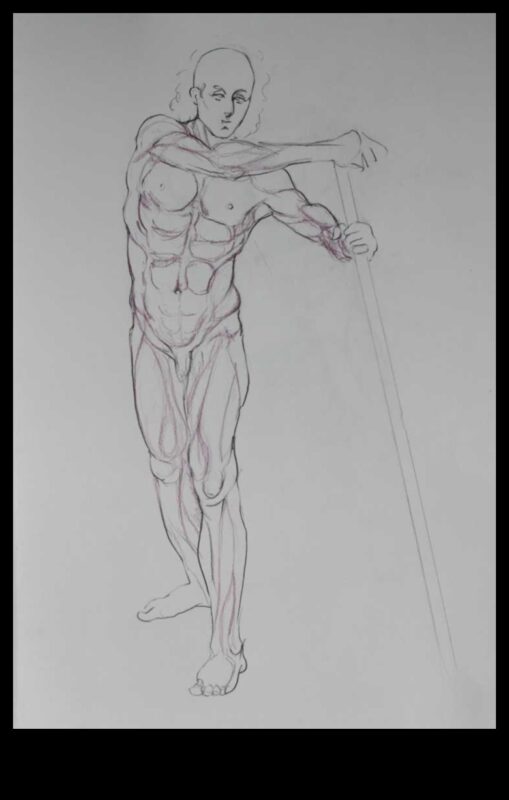 Anatomy Insights: Understanding Muscles in Life Drawing