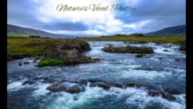 River Reverie: Exploring the Poetry of Streams and Creeks in Landscapes