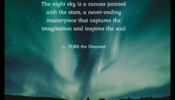 Moonlit Meadows: Ethereal Landscapes under Night Skies