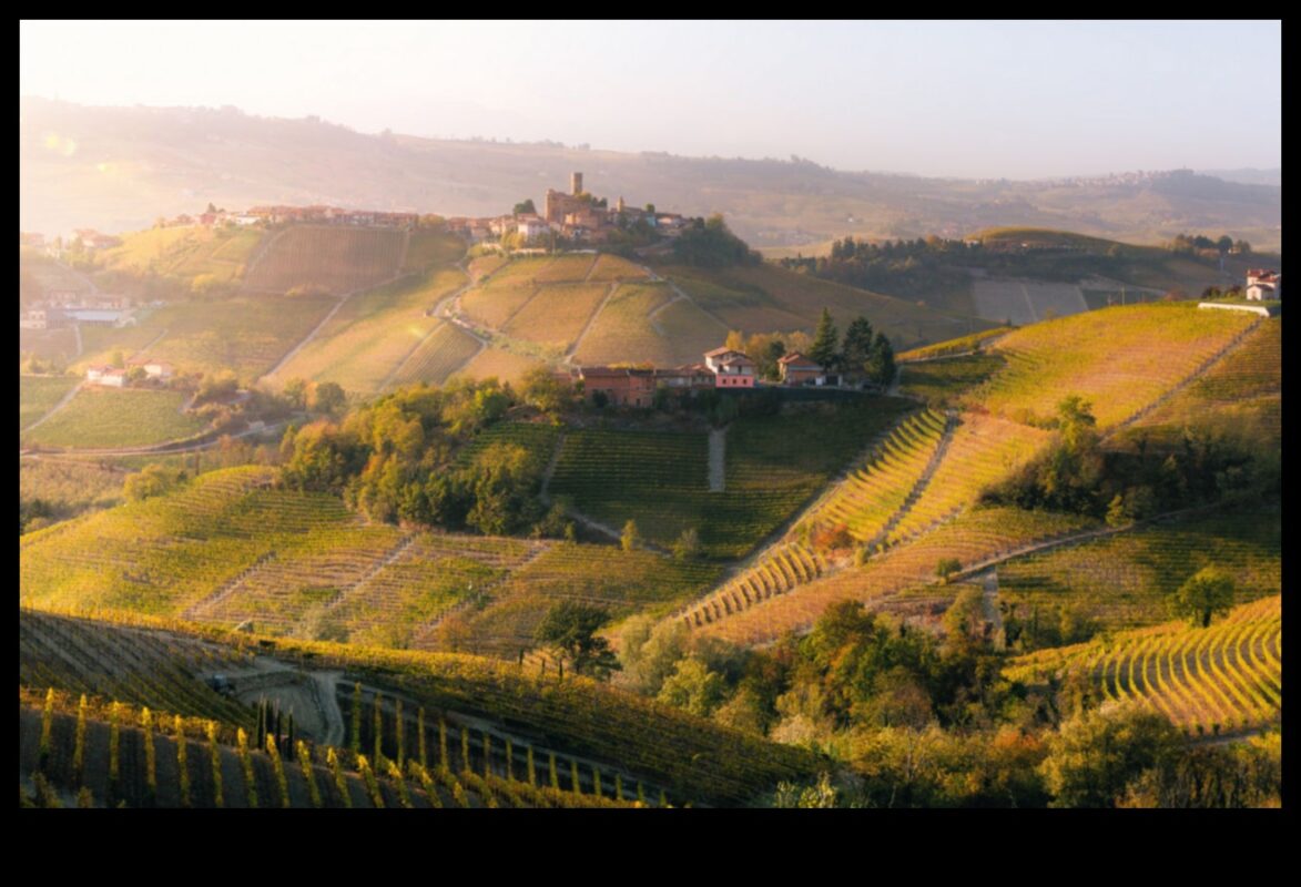 Orchards in Bloom: Exploring the Charm of Fruitful Landscapes