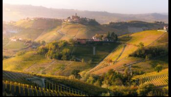 Orchards in Bloom: Exploring the Charm of Fruitful Landscapes