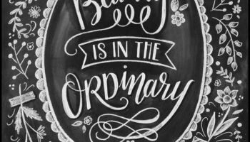 Waterfall Wonders: The Majestic Beauty of Cascades