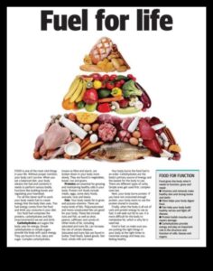 Καύσιμο για τη ζωή: Ο ρόλος της διατροφής στη μακροζωία και τη ζωτικότητα