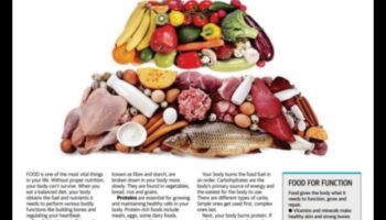 Καύσιμο για τη ζωή: Ο ρόλος της διατροφής στη μακροζωία και τη ζωτικότητα