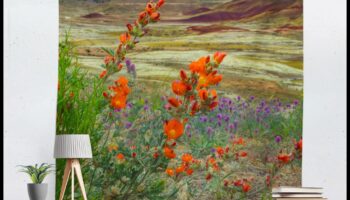 Desert Blossoms: Rare Flowers in Arid Landscapes